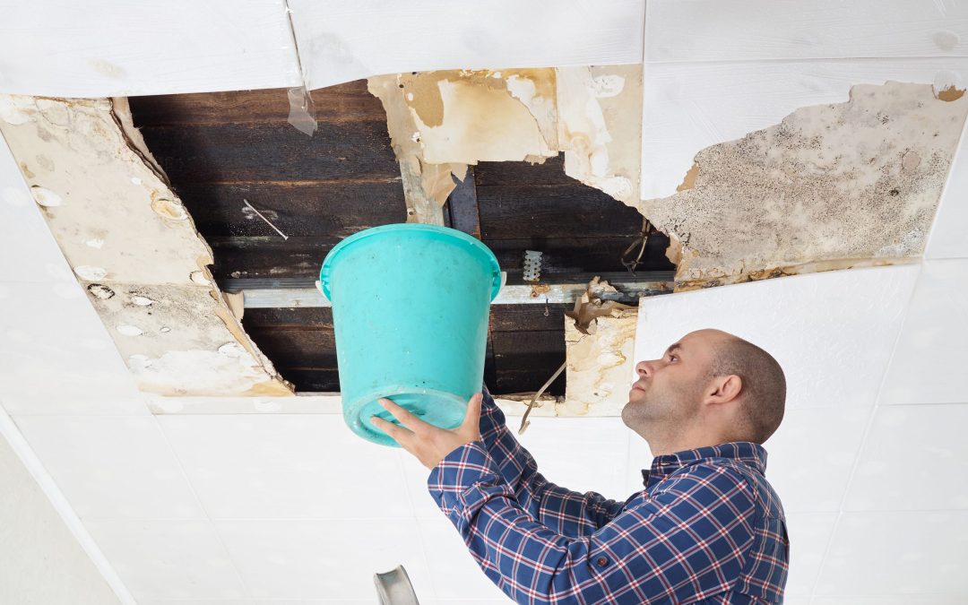 Preventing Mold and Health Risks with Water Damage Cleanup Queens NY Solutions